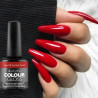 ARTISTIC NAIL DESIGN - Colour Gloss - Social Diva - Papillo'Nails