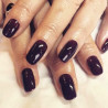 ARTISTIC NAIL DESIGN - Perfect Dip - Majestic (Violet prune noir) - Papillo'Nails
