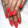 ARTISTIC NAIL DESIGN - Perfect Dip - Sultry (Corail) - Papillo'Nails