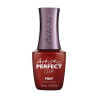 ARTISTIC NAIL DESIGN - Perfect Dip - Prep - Papillo'Nails
