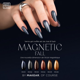 MAKEAR - Vernis Gel Couleur - Collection Magnetic Fall - Papillo'Nails